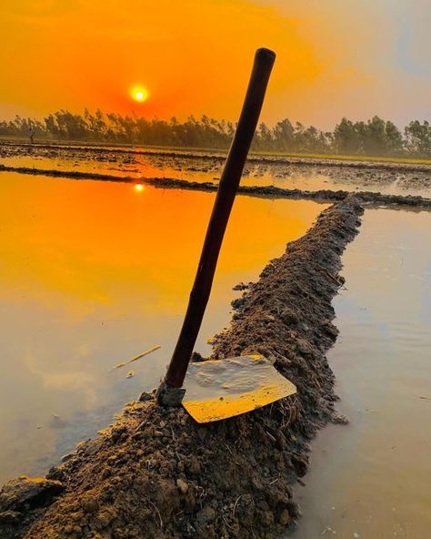 Farmer Pic, Farmer Pictures, Farming Photo, Village Images, Agriculture Pictures, Farmer Photo, Dslr Blur Background, Farmers Life, Agriculture Photography