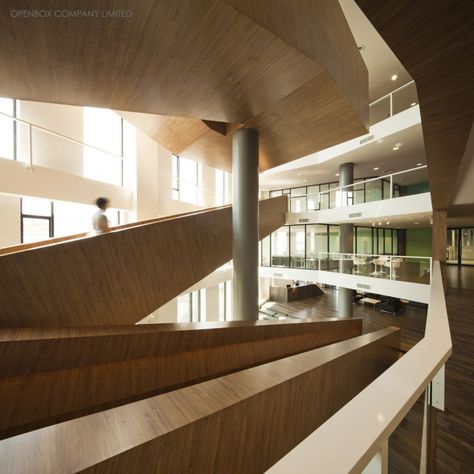 VNG Office / Openbox Company Ramps Architecture, Stair Handrail, 3d Architecture, Stair Steps, Interior Stairs, Architecture Rendering, Stairs Design, Architecture Firm, Office Building