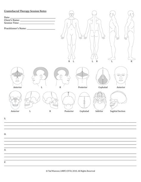 Cranio Sacral Therapy, Massage Intake Forms, Cranial Sacral Therapy, Polarity Therapy, Melt Method, Healing Techniques, Therapeutic Yoga, Craniosacral Therapy, Myofascial Release