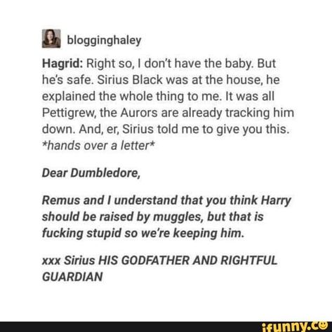 Wolfstar Headcannons, Maxon Schreave, About Harry Potter, Harry Potter Memes Hilarious, Yer A Wizard Harry, Harry Potter Puns, Peter Johnson, Harry Potter Headcannons, Harry Potter Jokes