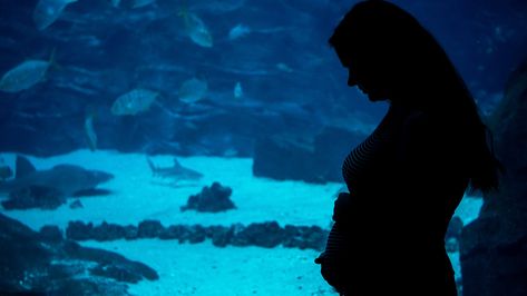 Aquarium Maternity Photos, Maternity Photo Shoot Ideas, Couple Pregnancy Photoshoot, Maternity Photo Shoot, Photo Shoot Ideas, Baby Pic, Pregnancy Style, Belle Isle, Babymoon