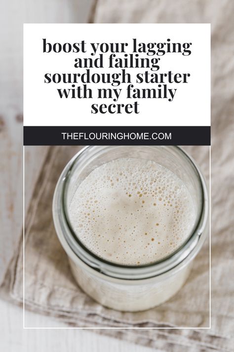 how to jumpstart your lagging sourdough starter - Whole Wheat Sourdough, Sourdough Bread Sandwiches, Sourdough Starter Recipe, Potato Bread, Sourdough Baking, Sourdough Bread Recipe, Whole Wheat Bread, Starters Recipes, Sourdough Recipes