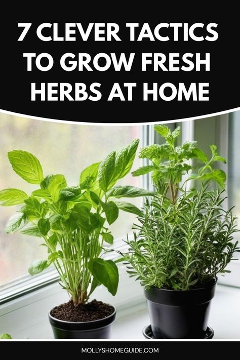 Discover the ultimate guide on how to grow herbs effortlessly at home with these expert tips. Whether you're a beginner or seasoned gardener, learn the best practices for planting, watering, and harvesting your own herb garden. From basil to rosemary, transform your space into a fragrant oasis while adding fresh flavors to your dishes. Elevate your cooking skills by having a variety of herbs at your fingertips and enjoy the satisfaction of growing them yourself. How To Grow Herbs, Herbs At Home, Growing Herbs Indoors, Small Herb Gardens, Grow Herbs, Gardening Vegetables, Healthy Herbs, Patio Pots, Herbs Indoors