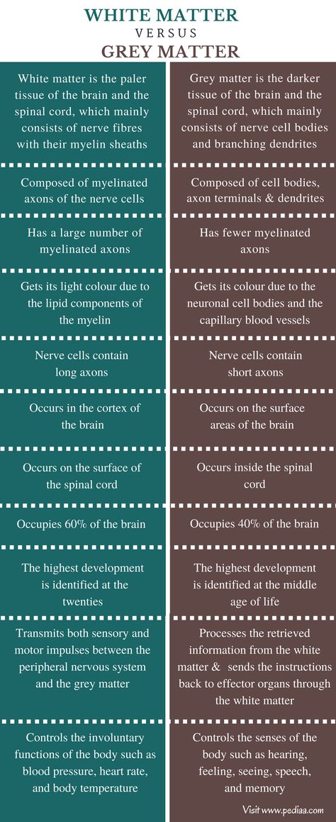 Difference Between White Matter and Grey Matter | Definition, Characteristics, Function White Matter Brain Disease, Cerebrum Function, White Matter In Brain, Brain Anatomy And Function, Anatomy Education, Human Biology, Nerve Cells, Mcat Study, Peripheral Nervous System