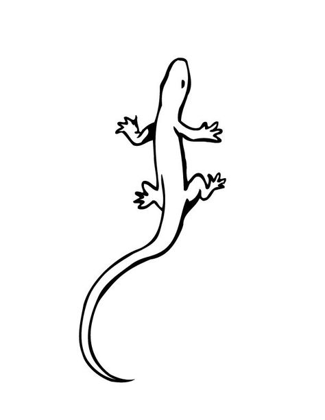 Lizard Coloring Pages, Cartoon Lizard, Gecko Tattoo, Lizard Tattoo, Printable Tattoos, Small Lizards, Small Tats, Handpoke Tattoo, Stick N Poke Tattoo