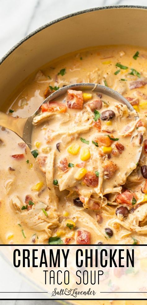 a ladle of soup with text overlay that reads creamy chicken taco soup Creamy Chicken Taco Soup, Chicken Taco Soup Recipe, Chicken Soups, Taco Soup Recipe, Pantry Ingredients, Chicken Taco Soup, Tasty Chicken, Chicken Taco, Taco Soup