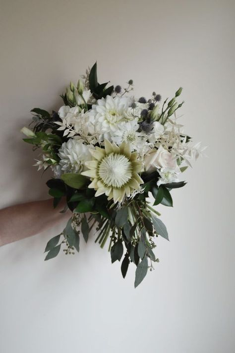 White King Protea Bouquet, White Protea Bouquet Wedding, White Protea Bouquet, White Dahlia Wedding Bouquets, Ruscus Bouquet, Protea Bouquet Wedding, King Protea Bouquet, White King Protea, White Protea