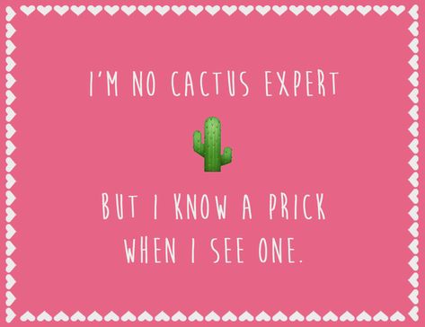 12 Hilarious Anti-Valentine's Day Cards For People You Hate. The funny part is, I AM a cactus expert. At least, in NC I am. Hate Valentines Day, Christmas Humor Ecards, Christmas Ecards, Valentines For Singles, Funny Valentines Cards, Anti Valentines, Anti Valentines Day, My Funny Valentine, Valentine's Day Quotes