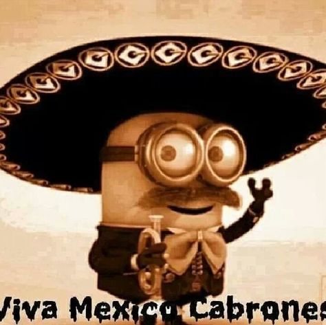 Viva Mexico Cabrones!! Mexico Funny, Mexican Theme Party Decorations, Mexico Wallpaper, Mexican Party Theme, Slot Gacor, Minion, Party Themes, Real Life, Account Suspended