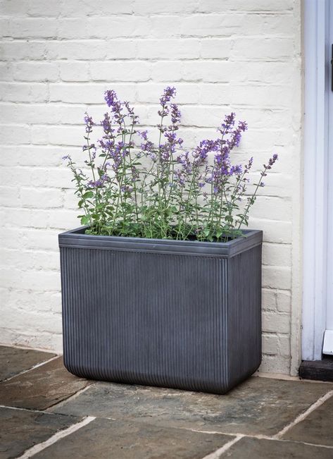 With its curved base and ribbed exterior the Bathford Rectangular Planter will house plants beautifully Herb Shelves, Planters With Trellis, Shady Courtyard, Large Garden Planters, Cotswold House, Cedar Bench, Clay Garden, Garden Trading, Garden Planters Pots