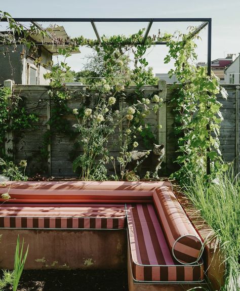 Backyard Inspo, Built In Bench, Dream Backyard, Back Garden, Outdoor Oasis, Balcony Garden, Outdoor Design, Dream Garden, Outdoor Area