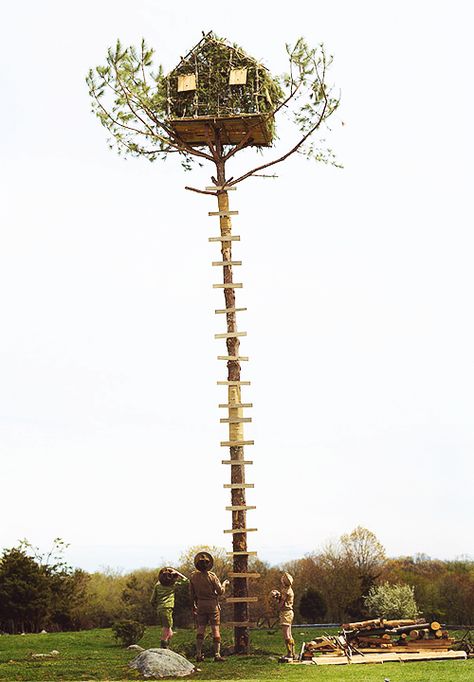 Tree House.  Moonrise Kingdom, 2012 (dir. Wes Anderson) Wes Anderson Aesthetic, Apple Garden, Wes Anderson Movies, Wes Anderson Films, Moonrise Kingdom, Unusual Homes, Starry Eyed, Movie Shots, Film Inspiration