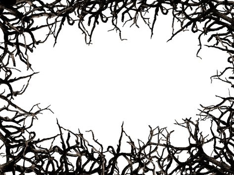 Tree Borders, Horror Photos, رورونوا زورو, Rock Textures, Border Png, Polaroid Frame, Photoshop Painting, Frame Border, Frame Png