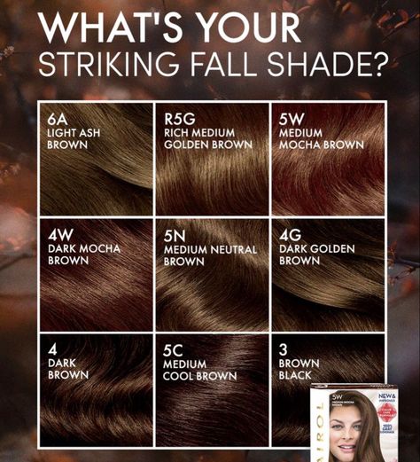 Hair Color Chart, Mocha Brown, Hair Colour, Medium Brown, Golden Brown, New Black, Hair Color, Shades, Hair