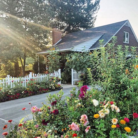 Melon Monologues on Instagram: “(Breathe out, deep breath in) Remember #BHGBESTFRONTYARD contest? I forgot, but last night I checked....and I’m one of the TOP 10!!! (Now…” Sunflower Front Yard, Sunflowers Front Yard, Zinnias And Sunflowers, Patio Design Modern, Front Yard Garden Landscaping, Mini Farming, Jar Garden, Exterior Updates, Witch's Garden