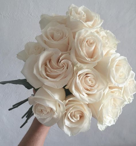 Ivory Vendela Roses / Mable & Elsi Floral Design / Sydney / Wedding Style Inspiration / LANE Vendela Roses, Wedding Style Inspiration, Event Stylist, City Bride, Wedding Movies, Unique Wedding Decor, The Lane, Flower Bomb, Wedding Decor Inspiration