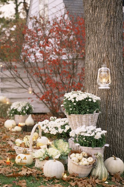 Pretty in White White Pumpkin Decor, Pumpkins And Gourds, Halloween Diy Outdoor, Halloween Decorations Diy Outdoor, Autumn Decorating, Halloween Yard, Fall Outdoor, Fall Porch, White Pumpkins