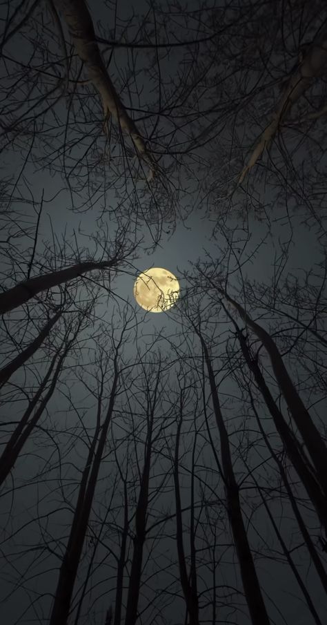 Moon Light Photography, Light And Shadow Photography, Night Landscape Photography, Night Sky Photography, Shoot The Moon, Iphone Wallpaper Sky, Perfect Selfie, Look At The Moon, Dark Nature Aesthetic