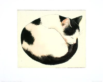 Cat Pictures - Including Cat Art, Cat Tattoos And Cat Photography Curled Up Cat, Fotocamere Vintage, Cat Pictures, Cat Photography, Sumi E, Frames For Canvas Paintings, Affordable Wall Art, Animal Tattoos, Cat Tattoo