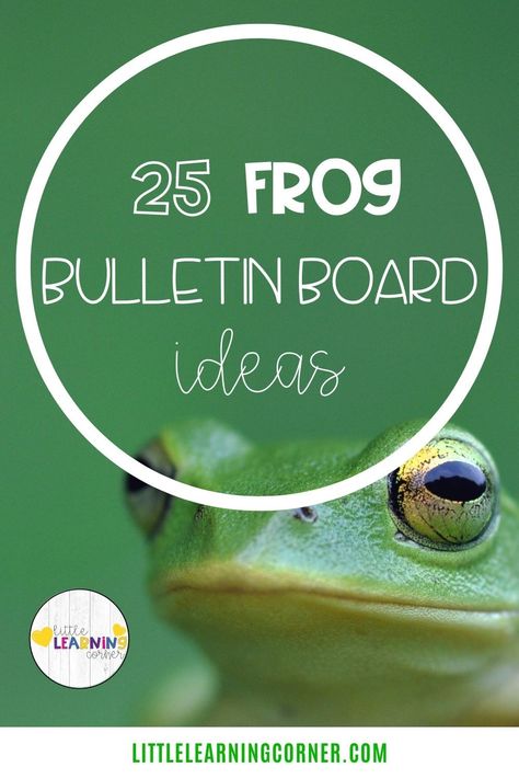 These frog bulletin boards are great for your Spring display boards, door displays, and hallway displays for science. #frogs #bulletinboards Frog Bulletin Board Ideas Classroom, Frog Theme Bulletin Board Ideas, Frog Themed Bulletin Boards, Frog Bulletin Board Ideas Preschool, Frog Door Decorations Classroom, Frog Bulletin Board Ideas, Pond Bulletin Board, Frog Classroom Decorations, Frog Classroom Theme