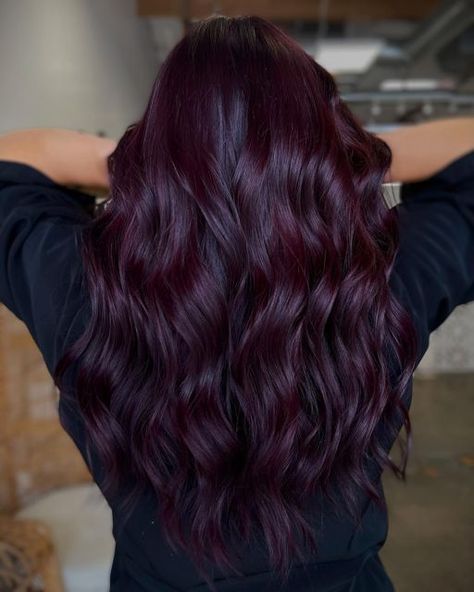 Hair Color Ideas For Wavy Hair Curls, Dark Red Hair With Purple Undertones, Burgundy Violet Hair Color, Maroon Violet Hair, Dark Red Violet Brown Hair, Purple Dark Hair Color, Mahogany Purple Hair Color, Dark Hair Colors For Fall Deep Purple, Dark Purple Burgundy Hair