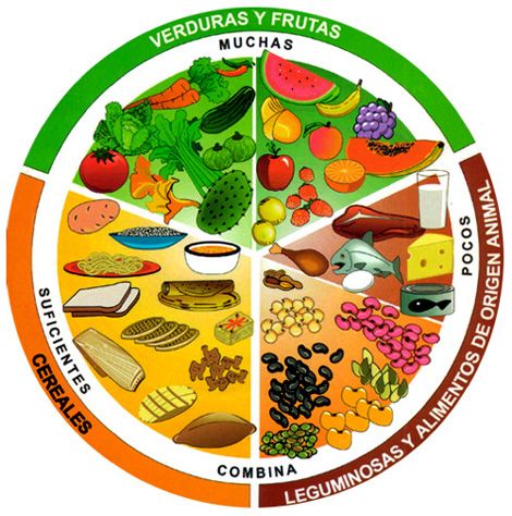 plato_buen_comer Food Infographic, Easy Mexican, Spanish Food, Organic Health, Health Supplements, Food Guide, Herbal Medicine, Diet Tips, Health And Nutrition