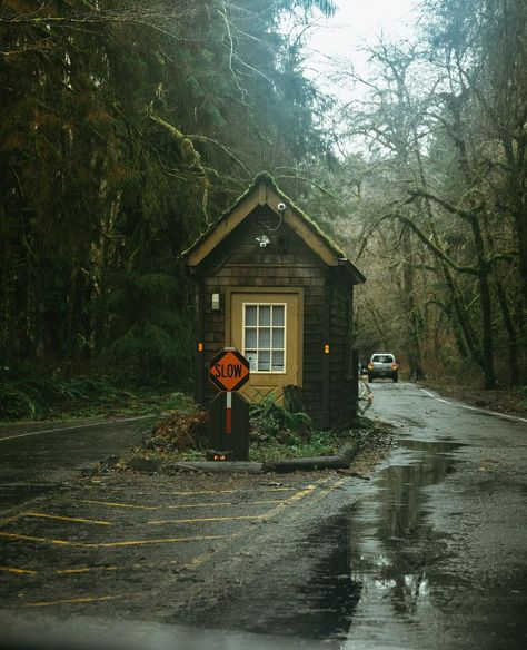 Pacific Northwest Town, Pnw Gothic, Pacific Northwest Cabin, Contemplative Art, Pnw House, Pacific Northwest Aesthetic, Rain Aesthetics, Autumn Town, Pnw Fall