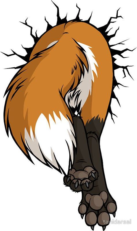 (#FaintingPets #FunnyAnimals) Anthropomorphic Ideas, Fox Artwork, Fox Drawing, Pokemon Comics, Couch Potato, Anime Wolf, Fox Art, Wolf Art, Cute Fox