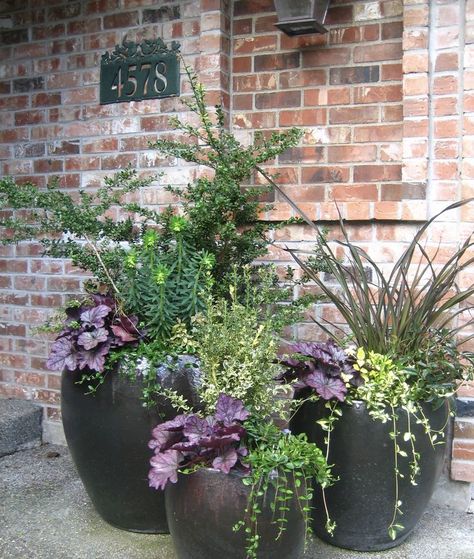 Winter Flower Container Ideas, Fall Potted Plants Planters, Fall To Winter Planters, Winter Container Garden, Fall Container Ideas, Shade Planters Ideas Front Porches, Winter Containers Planters, Fall Pots Outdoor Planters, Winter Container Plants