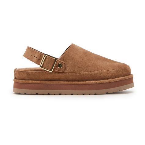 madden girl Graham Women's Platform Clogs Clogs With Dresses, Steve Madden Clogs, Fall Clogs, Clog Outfit, Winter Clogs, Womens Clogs And Mules, Suede Clogs, Fall 24, Platform Clogs