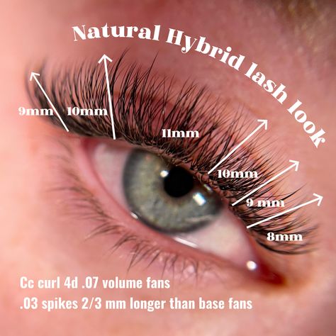 Whisky Lash Extensions Map, Hooded Eye Lash Extension Mapping, Fluffy Classic Lash Extensions Map, Natural Looking Lash Extensions Mapping, Short Classic Lash Extensions Mapping, Lash Map Hybrid Cat Eye, Hybrid Natural Lash Extensions Map, Short Hybrid Lash Extensions Mapping, Light Hybrid Lash Extensions Map