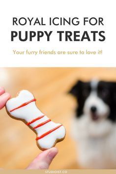 Dog Biscuit Icing Recipe, How To Make Icing For Dog Treats, Dog Safe Royal Icing, Dog Friendly Royal Icing Recipe, How To Make Dog Icing, Homemade Dog Cookies With Icing, Icing For Dog Cookies, Dog Safe Cookie Icing, Dog Treats Decorated