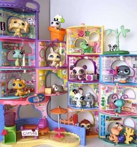 Lps Collection, Lps Accessories, Lps Popular, Custom Lps, Lps Toys, Lps Pets, Little Pet Shop Toys, Lps Littlest Pet Shop, Nostalgic Toys