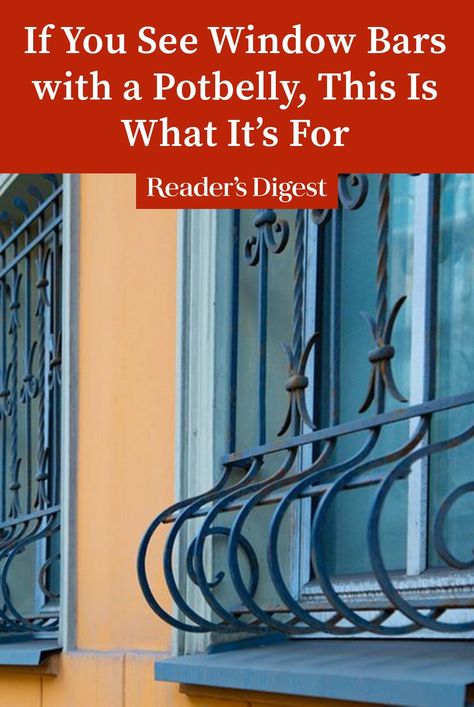 Reddit users have been wondering about window grilles with a bulge at the base. Here's what the unusual window "belly bars" are really for. Safety Grill, Window Grilles, Window Safety, Window Bars, Moving Apartment, Belly Bars, Ac Units, Taste Of Home, Flower Boxes