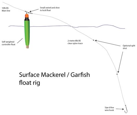 Planet Sea Fishing Digital Magazine | Rigs and Traces | Surface Float Rig Pike Fishing Tips, Carp Fishing Tips, Sea Angling, Float Fishing, Drop Shot Rig, Fly Fishing Tips, Pike Fishing, Fly Fisherman, Fishing Rigs