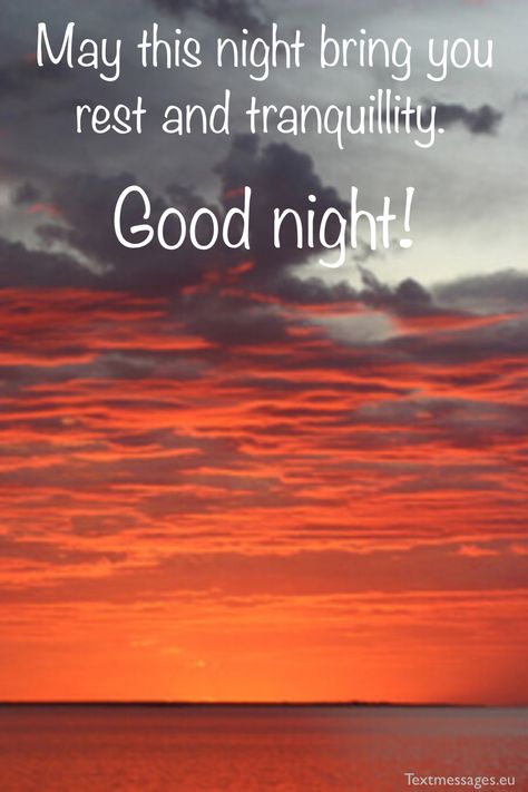 Good Night Wishes Funny, Good Nite Quotes Night Night, Nite Quotes, Inspirational Good Night Messages, Good Night Msg, Sweet Good Night, Beautiful Good Night Messages, Good Night Sleep Well, Goodnight Wishes