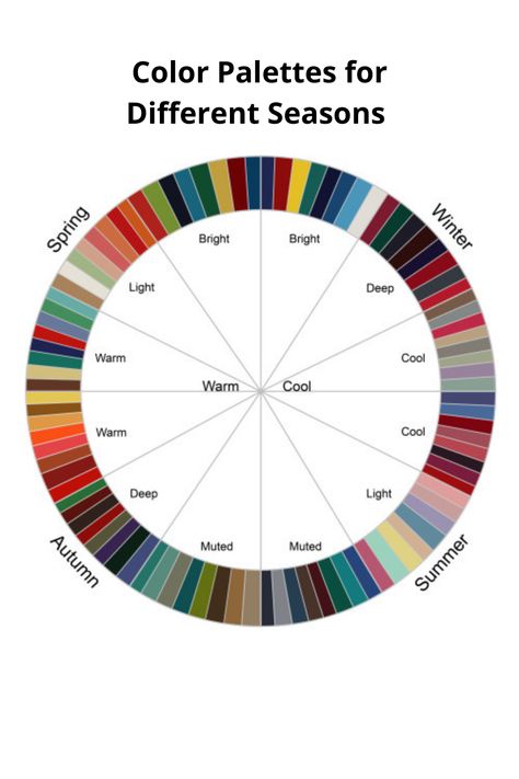 Colour Season Wheel, Color Palette Theory, Color Season Wheel, Color Seasons Palette, Colour Wheel Theory, Color Mixing Chart Acrylic, Color Mixing Guide, Mixing Paint Colors, Color Theory Art