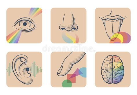 Set of five human senses: sight, smell, taste, hearing and touch. Six anatomical images: nose, tongue, eye, ear, finger and brain royalty free illustration Human Senses, Creative Writing Exercises, Brain Vector, Word Games For Kids, Sense Of Sight, Brain Art, Creativity Exercises, Things To Do At Home, 5 Senses