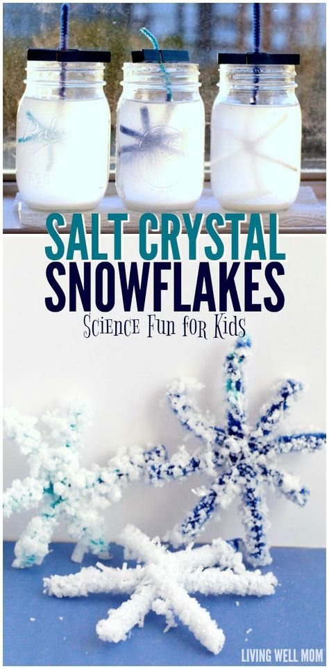 Salt Crystal Snowflakes, Snowflakes Science, Simple Stem Activities, Vetenskapliga Experiment, Winter Stem, Easy Science Projects, Juleverksted For Barn, Winter Science, January Crafts