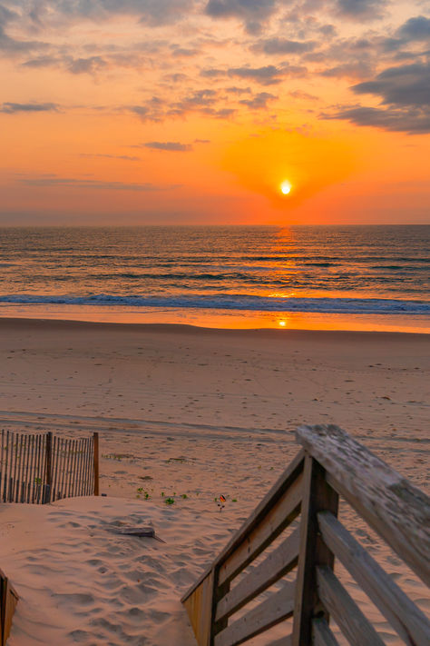 The holidays are a great time to get the family together. Why not consider spending the holidays on the beaches of The Northern Outer Banks. In Corolla, you can enjoy secluded beaches all to yourself, see the state horse roaming these beaches, and book fabulous accommodations with any of the amenities you might need. Plus there are many holiday activities taking place to get you and your family in the festive spirit. Book now. Outer Banks Place, Corolla Outer Banks, Account Ideas, Throwback Music, Dark Vibes, Corolla Nc, Diy Paintings, Outer Banks Vacation, Dream Life House