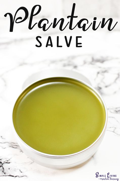 Plantain Salve Recipe, Homemade Salves And Balms, Bug Bite Salve, Diy Balm, Homemade Healing Salve, Diy Salve, Plantain Salve, Herbal Crafts, Herbal Salve Recipes