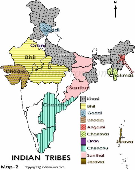 Tribes of India Social Geography, Tribes Of India, India World Map, Tribes In India, Tribes Of The World, Geography Classroom, Plant Classification, Upsc Notes, Ancient Indian History