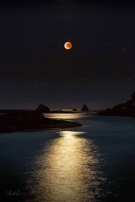 Moon Pictures, Moon Photography, Super Moon, Lunar Eclipse, Blood Moon, Beautiful Moon, Foto Art, Moon Glow, The Night Sky