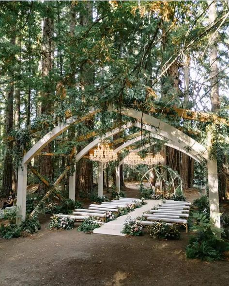 Enchanted Forest Wedding Ceremony, Wooden Wedding Arch, Wedding Trees, Open Air Chapel, Wooden Wedding Arches, Forest Wedding Ceremony, Tree Grove, Wedding Arch Ideas, Forest Wedding Venue