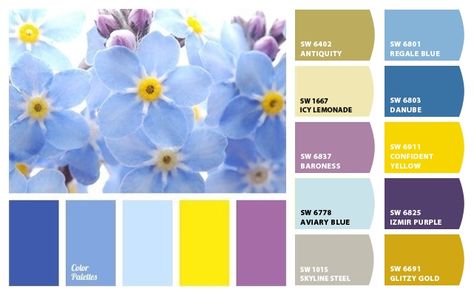 Forget Me Not Color Palette, Purple And Yellow Colour Palette, Blue Yellow Purple Colour Palettes, Pastel Purple And Yellow Color Palette, Yellow Violet Color Palette, Periwinkle And Yellow, Purple Blue Pallete Color, Blue Pallets, Lavender Color Palette