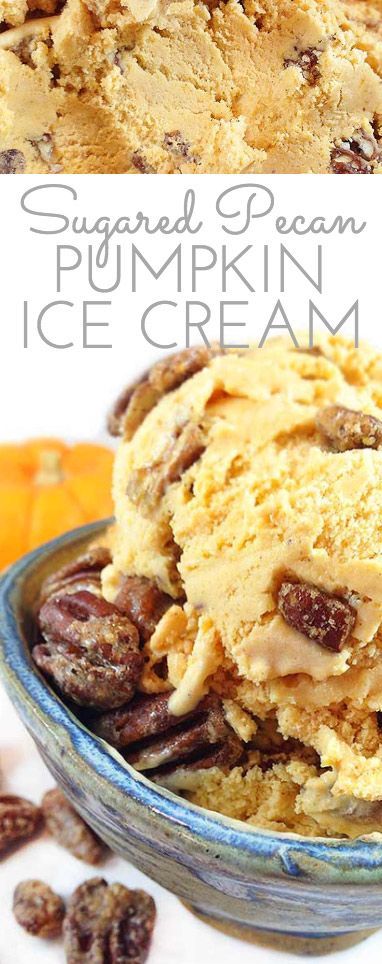 Sugared Pecan Pumpkin Ice Cream. This creamy and delicious ice-cream reminds me of pumpkin pie. Gourmet ice cream perfect for the holidays! #Pumpkin #IceCream #PumpkinIceCream #SugaredPecans #Dessert #PumpkinDessert #Fall Pecan Pumpkin, Holiday Ice Cream, Gourmet Ice Cream, Sugared Pecans, Pumpkin Ice Cream, Homemade Snickers, Pecan Ice Cream, Easy No Bake Desserts, Ice Cream Treats