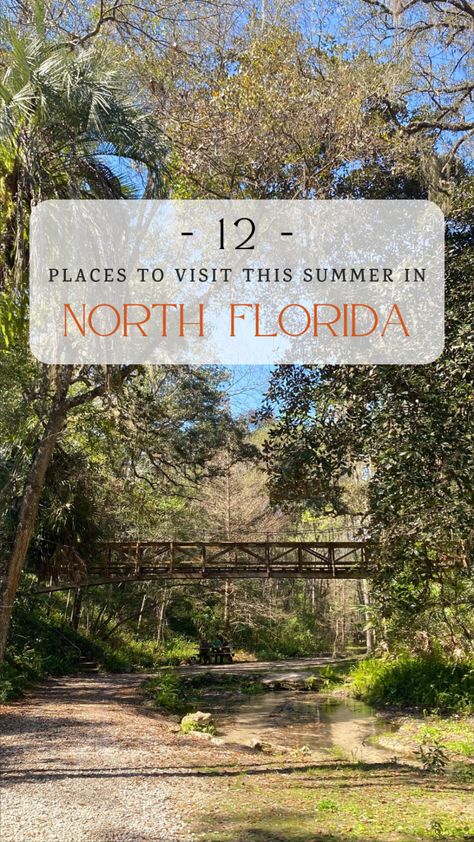 12 Places to Visit This Summer in North Florida - Florida Lives North Florida Things To Do, Florida Bucket List, Places To Visit In Florida, Mike Ross, Cedar Key, Florida State Parks, Places In Florida, North Florida, Vacation Goals