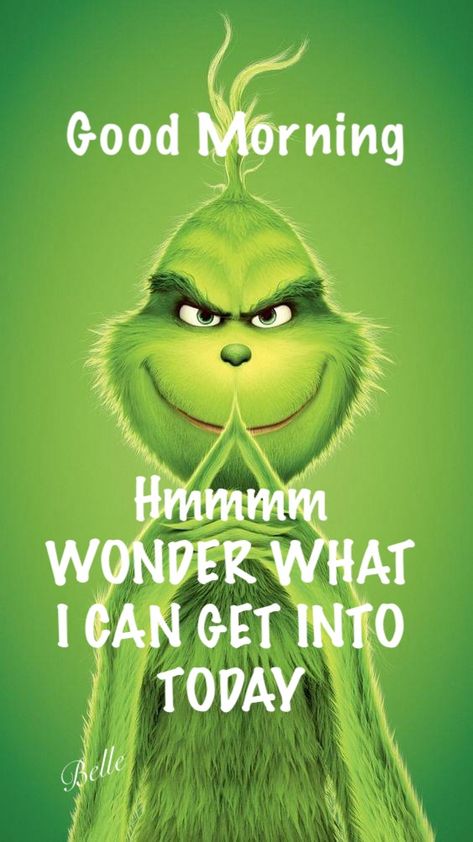 Up Early Quotes Funny, Grouchy Quotes, Grinch Sayings, Christmas Quotes Grinch, Boyfriend Core, Funny Qotes, The Grinch Pictures, Grinch Memes, Cute Good Morning Gif