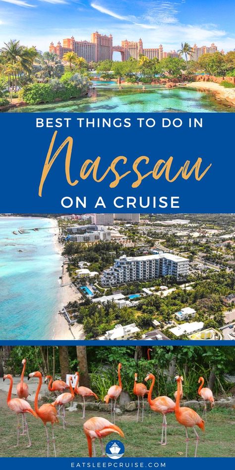 Are you looking for things to do in Nassau, in the Bahamas on a cruise vacation, or other travel layovers? Here are the best things to see & do while in this cruise port to make the most of your shore time. From exploring downtown of the island, spending the day at the Atlantis Resort, taking a trip to the Blue Lagoon, relaxing on the beach, and so much more. Check out our post for fun things to do, beautiful photo op destinations, shore excursions, and historical landmarks. Nassau Bahamas Royal Caribbean, Nassau Cruise Port, Blue Lagoon Bahamas, Things To Do In Nassau Bahamas, Nassau Bahamas Things To Do, Nassau Bahamas Excursions, Nassau Bahamas Cruise Port, Cruise To Bahamas, Bahamas Excursions