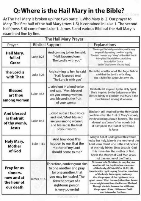 Wonderful explanation of the HAIL MARY Mary In The Bible, Hail Mary Prayer, Catholic Memes, Catholic Beliefs, Catholic Education, Faith Journaling, Bible Study Methods, Catholic Books, Faith Formation